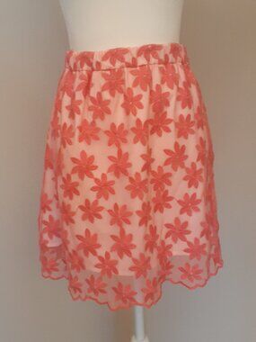 Garnet Hill Embroidered Net Skirt